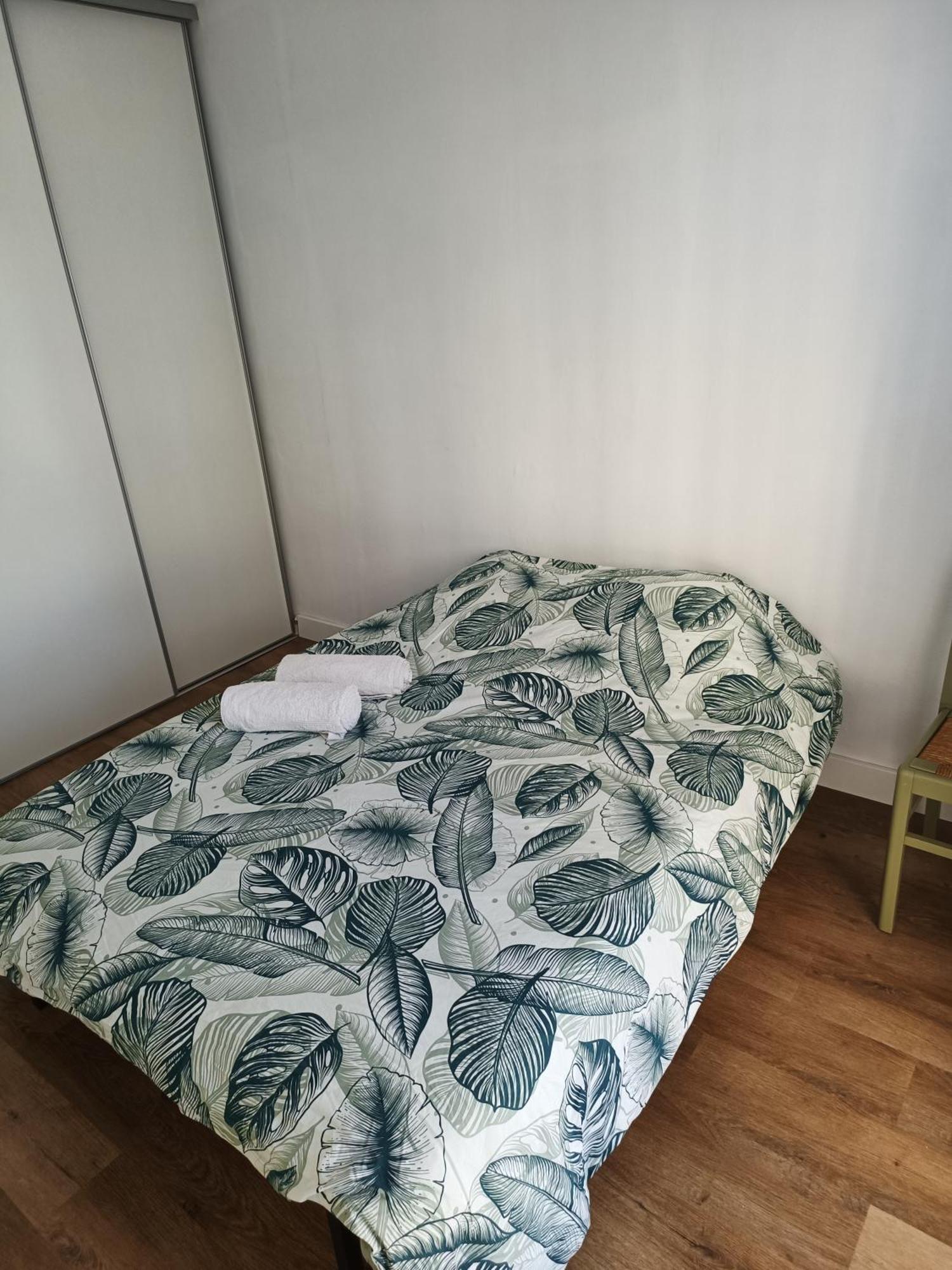 Appartement Proche Centre Ville / 3 Chambres Perpignan Ngoại thất bức ảnh